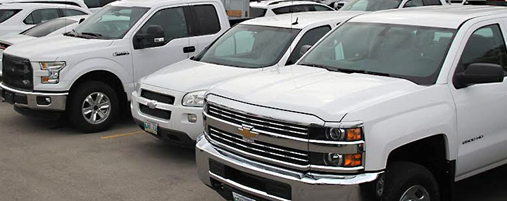 Image of clean and white VEMA-managed half-ton trucks and sedans as part of its Light Duty Vehicles available for short term rental vehicles in Manitoba